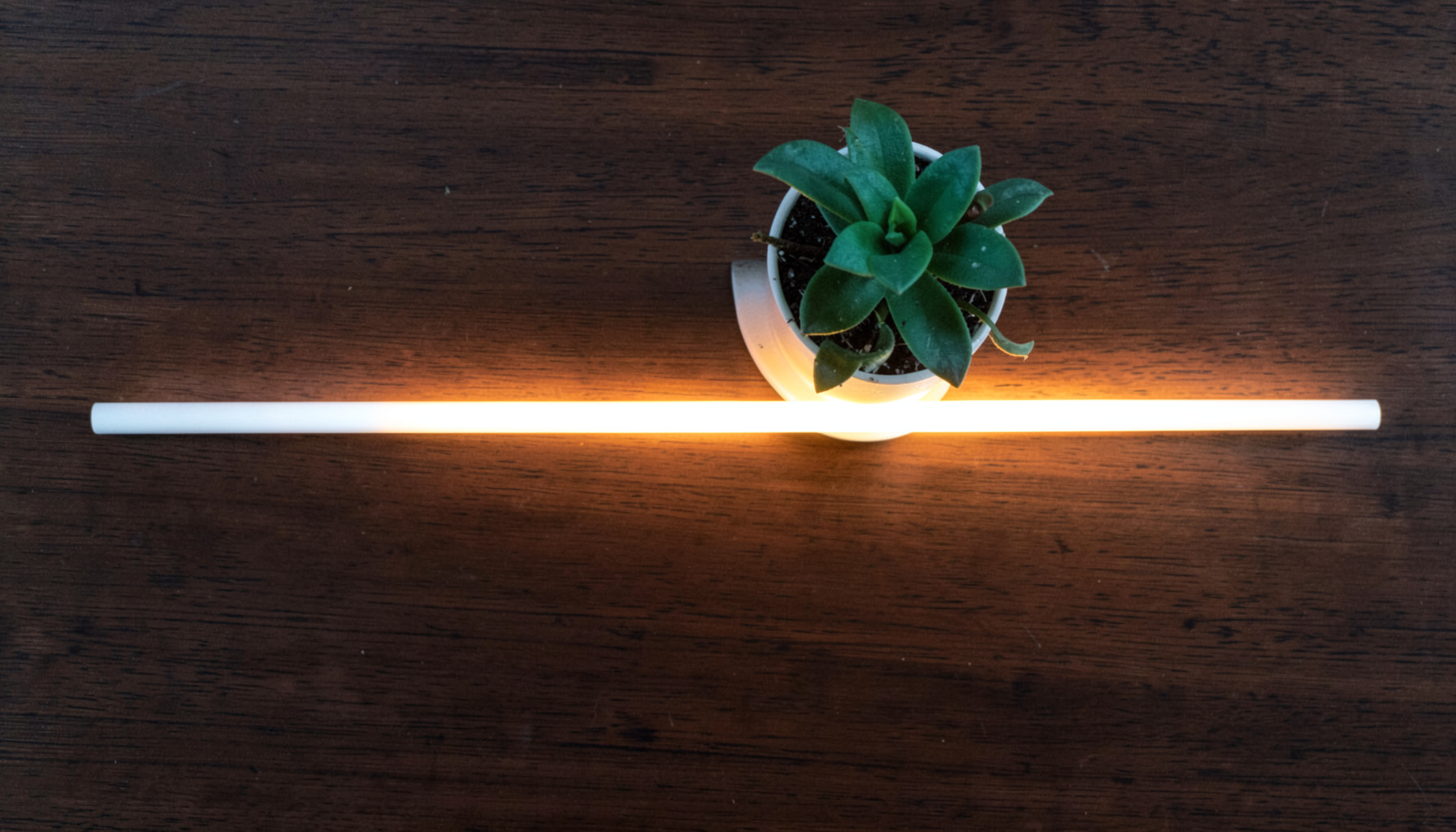 Overhead flat-lay photograph of a small potted plant beside a glowing strip of multicolour smart LED lighting on a dark wooden table