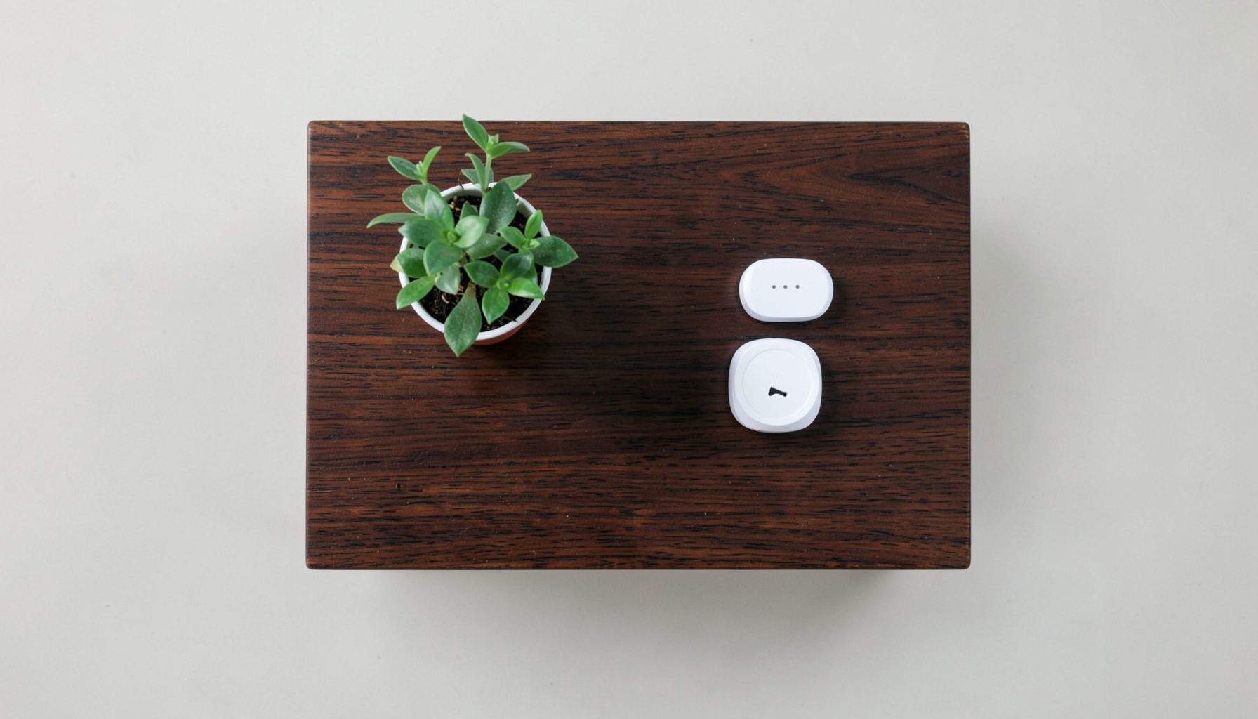 Overhead flat-lay photograph of a dark wooden side table holding a compact white smart plug, a small potted plant, and various smart home sensors arranged neatly
