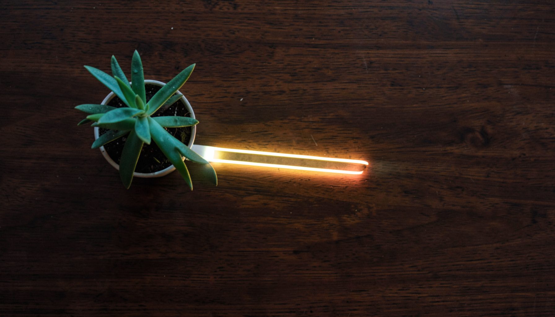 Overhead flat-lay photograph of a small potted plant beside a glowing strip of smart LED lighting on a dark wooden table, warm ambient mood